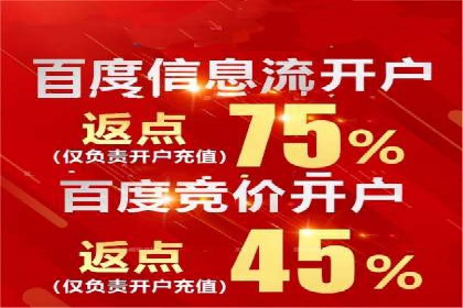 案例分析：SEM竞价代运营策略优化